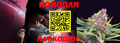 прущие грибы Севастополь