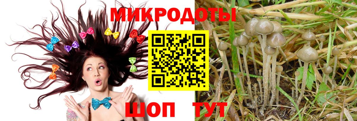 Галлюциногенные грибы GOLDEN TEACHER  Псилоцибиновые грибы Psilocybe  где найти наркотики  Сертолово  Вход с VPN 